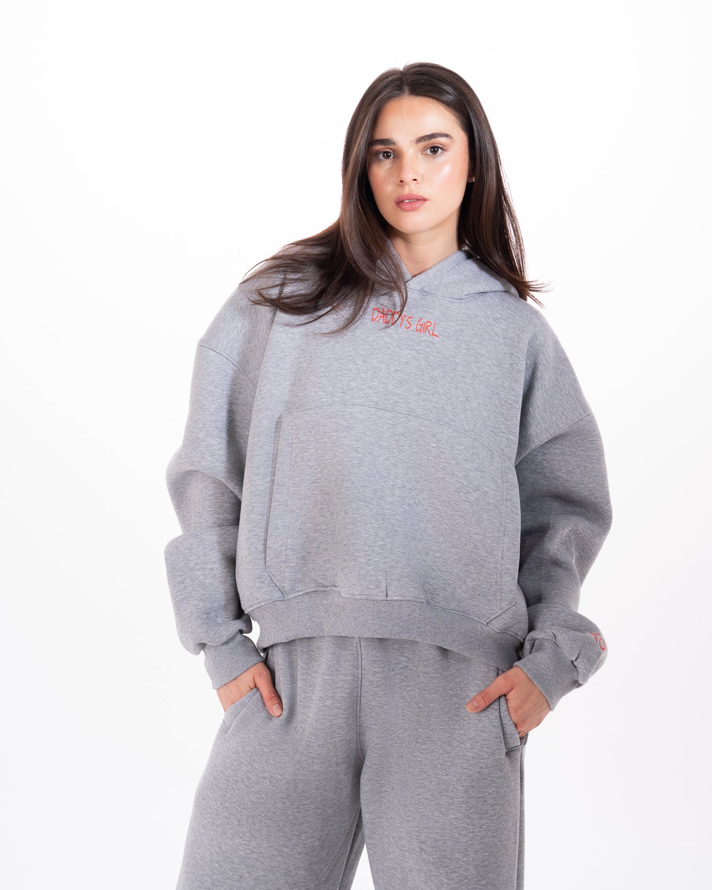 The Favorite Daughter Hoodie in Grey