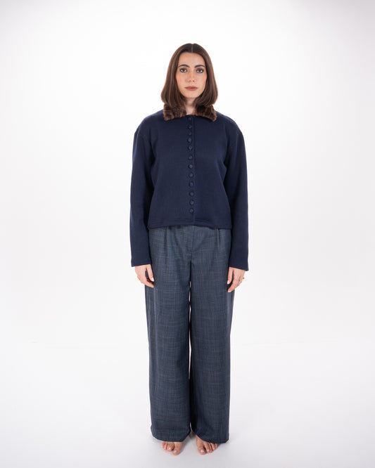 Checked Straight Fit Pants in Navy Blue